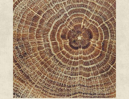 New single “Everything Keeps Changin'” featuring Paul Hoffman out now!